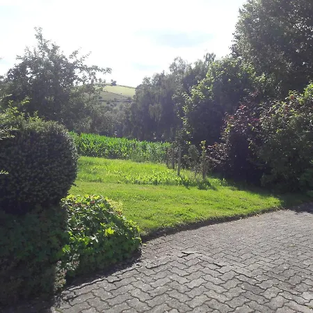 Modern In Sellinghausen With Terrace *