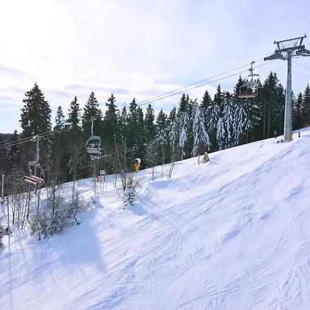 Apartmán Modern In Sellinghausen With Terrace *