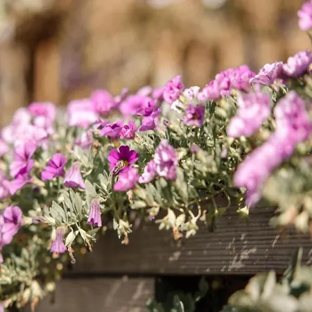 Modern In Sellinghausen With Terrace