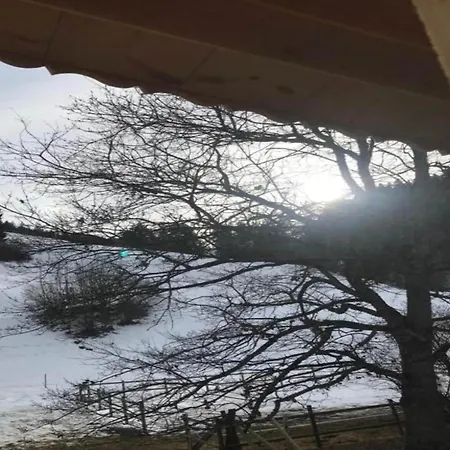 Modern In Sellinghausen With Terrace Apartmán *