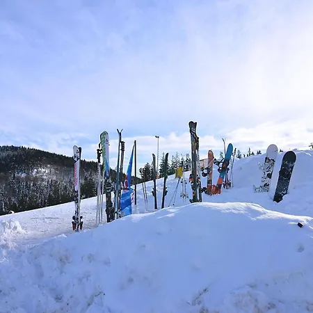 Modern In Sellinghausen With Terrace *