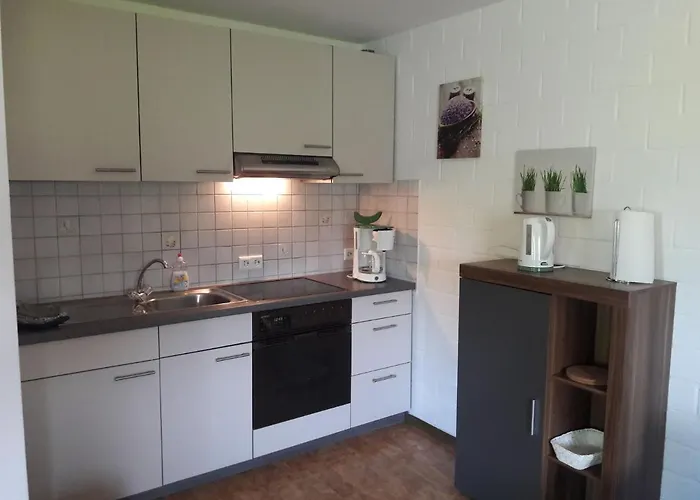 Appartement Modern In Sellinghausen With Terrace