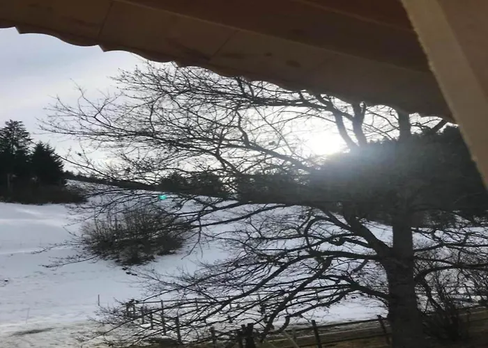 Modern In Sellinghausen With Terrace Appartement *