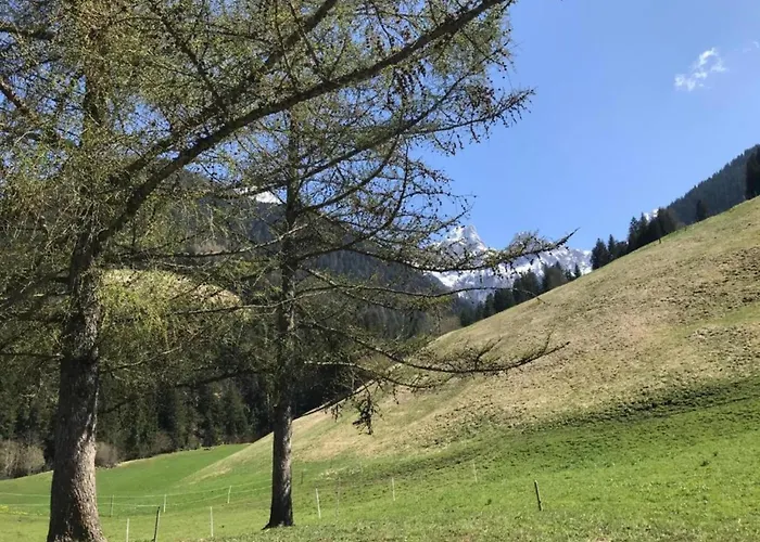 Modern In Sellinghausen With Terrace Appartement